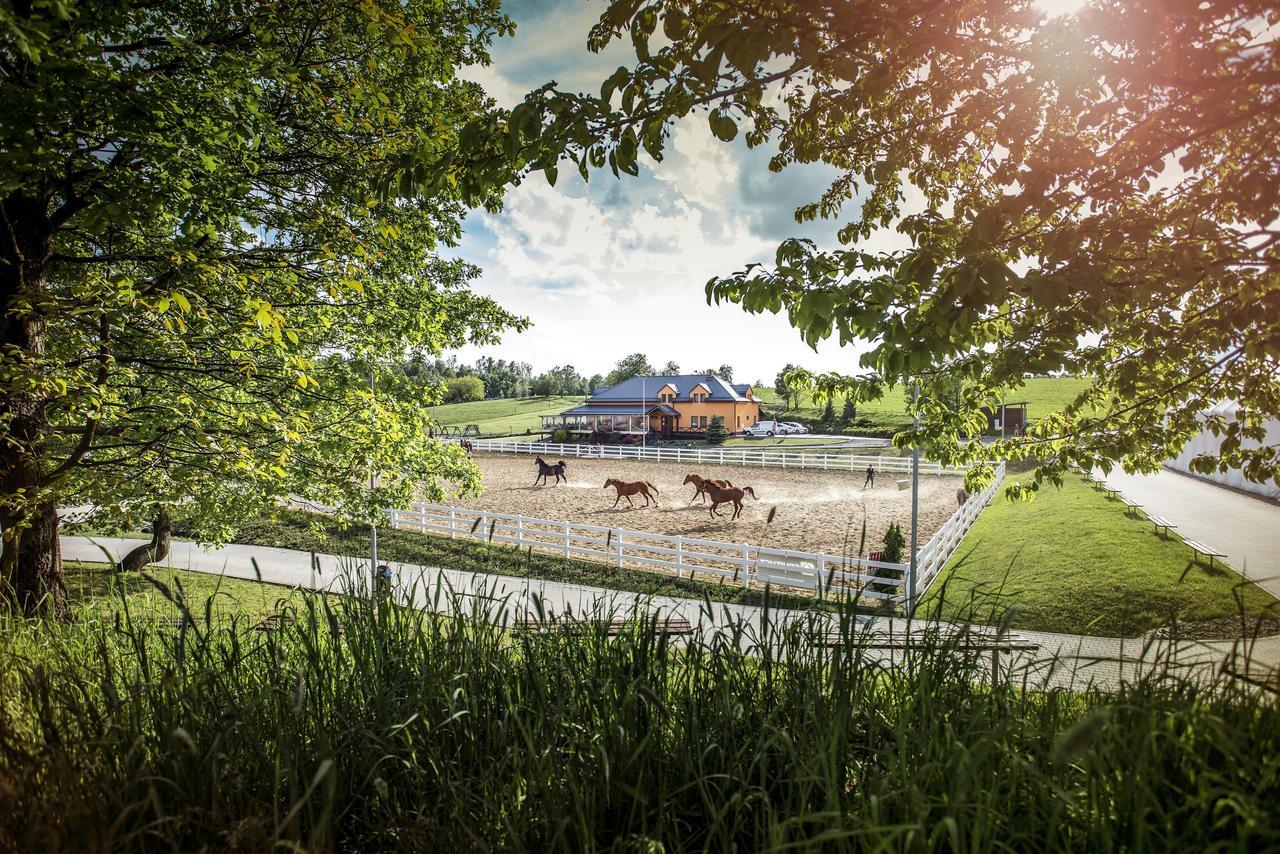 Hotel Horse Riding - Jezdecky Areal Trsice ภายนอก รูปภาพ