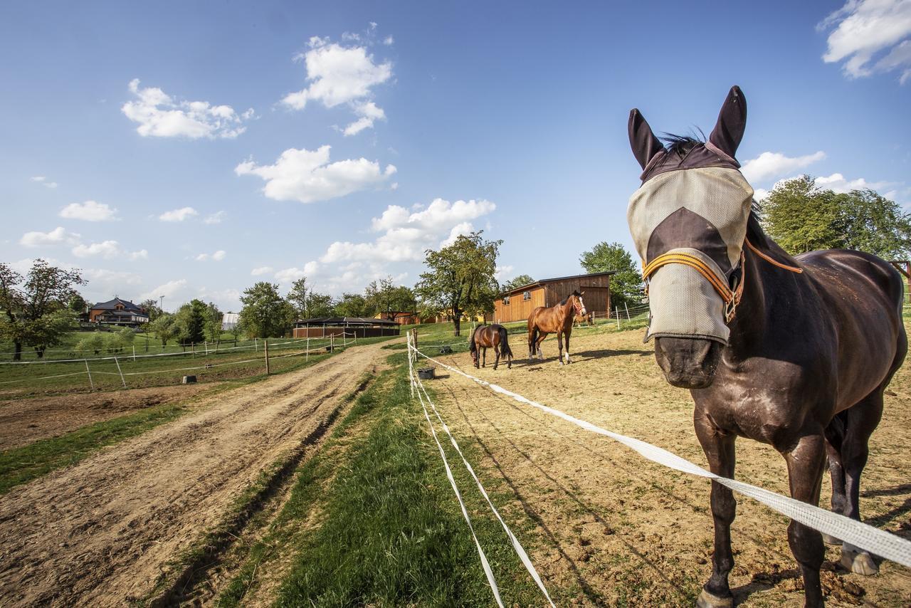 Hotel Horse Riding - Jezdecky Areal Trsice ภายนอก รูปภาพ