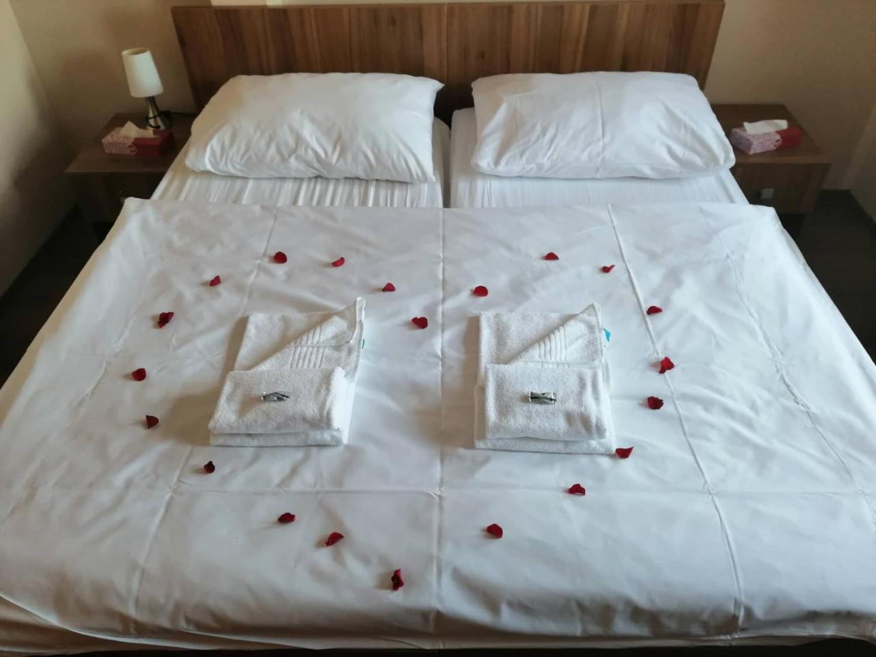 Hotel Horse Riding - Jezdecky Areal Trsice ภายนอก รูปภาพ